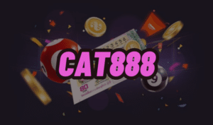 cat888